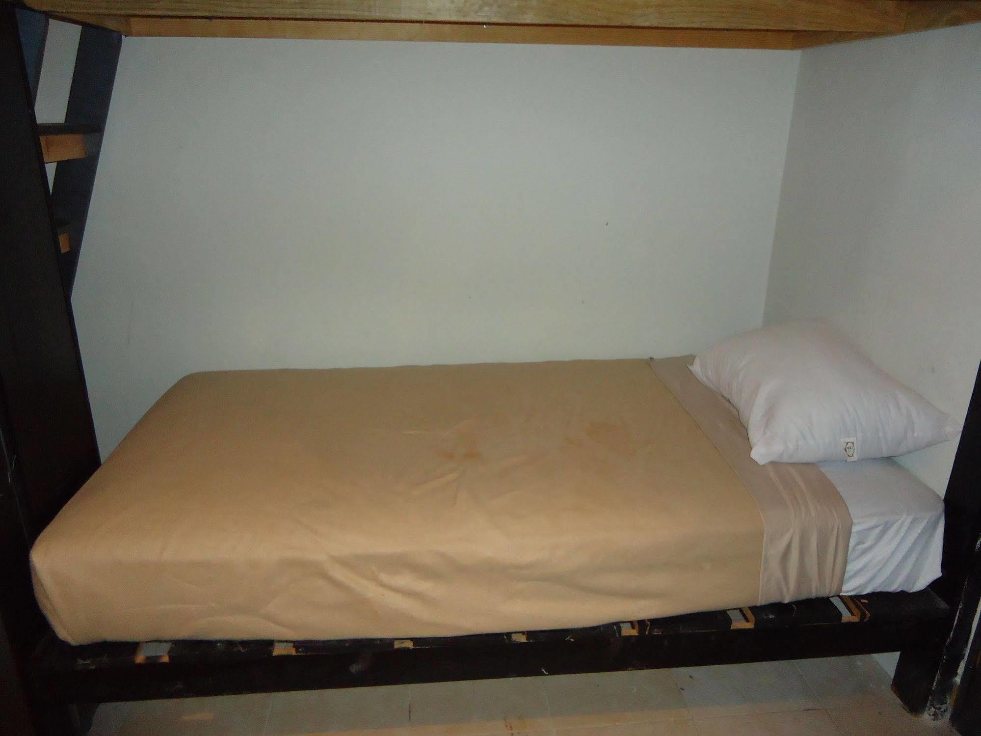 Humble Bumble Hostel 普拉亚卡门 外观 照片
