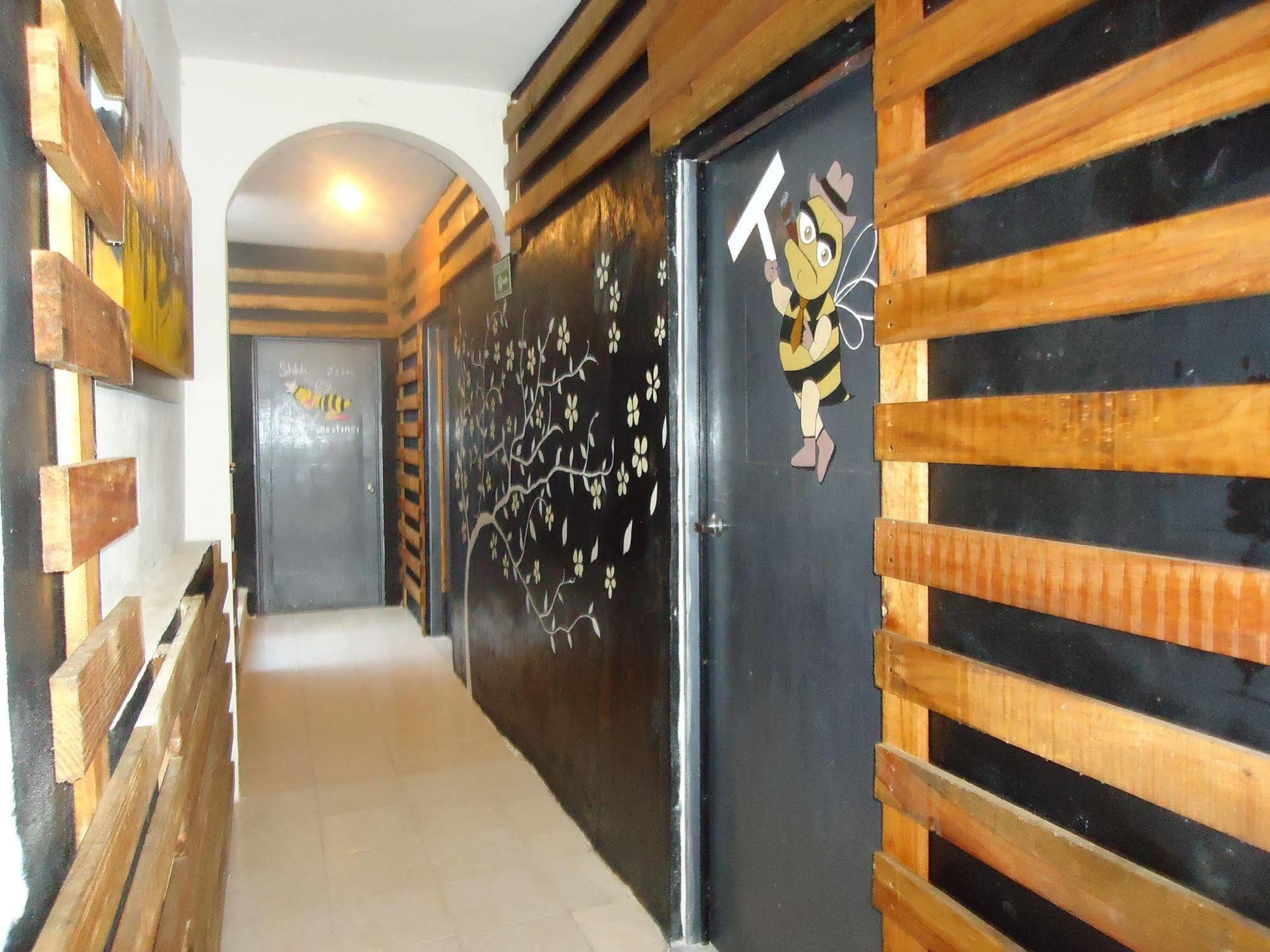 Humble Bumble Hostel 普拉亚卡门 外观 照片